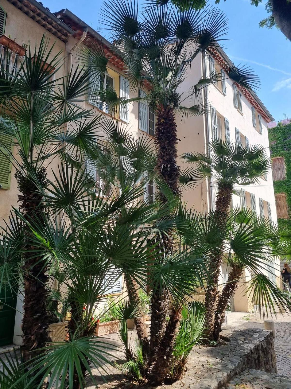 06An - Beautiful Apartment In The Heart Of Old Antibes Exterior foto